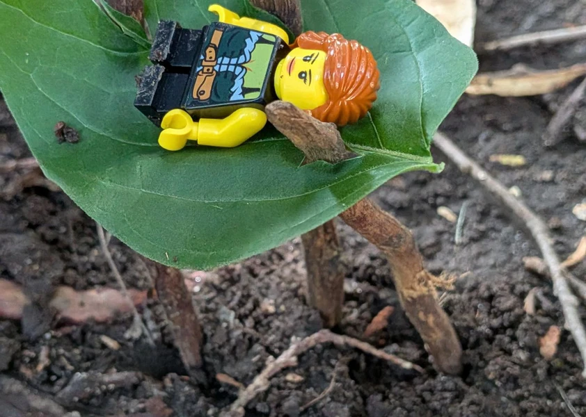 Avatar légo couché sur une feuille et des branches