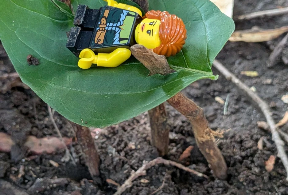 Avatar légo couché sur une feuille et des branches